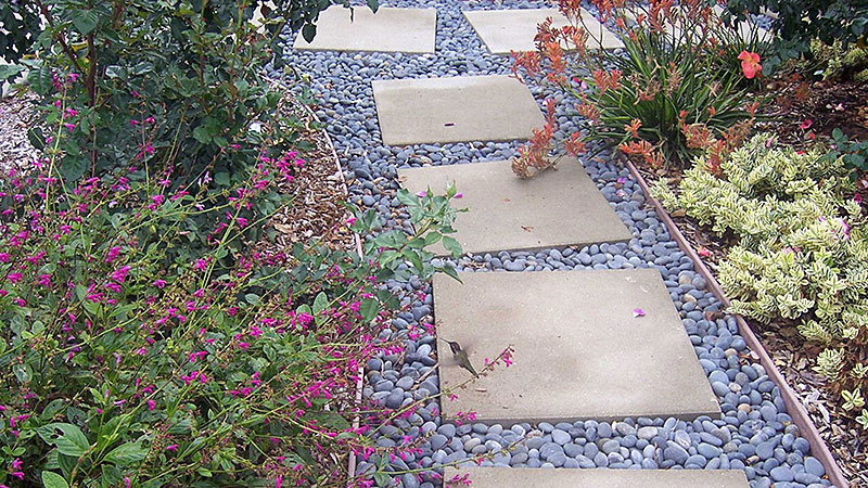 Desert landscape with pavers and plants